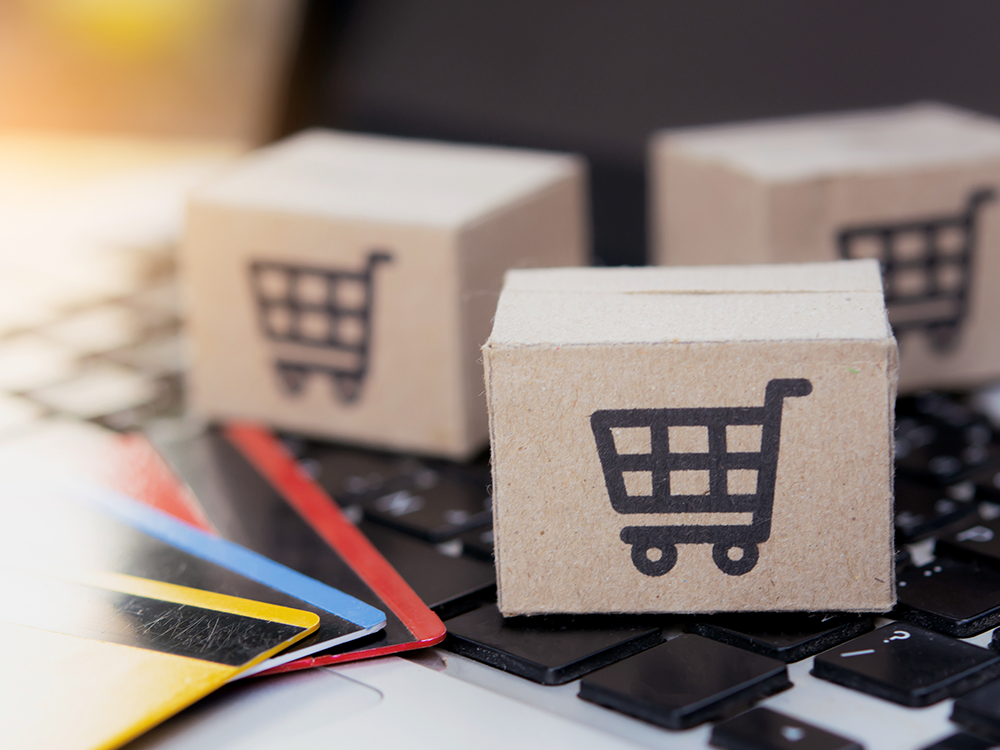 Zugang zum Onlineshop - Einkaufswagen 